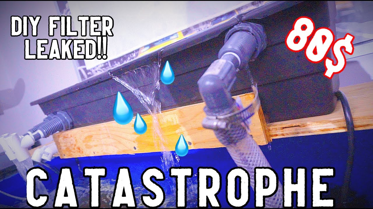 🔱HOW TO: BEST Aquarium Filter Overhead Sump Filter OHS/OHF