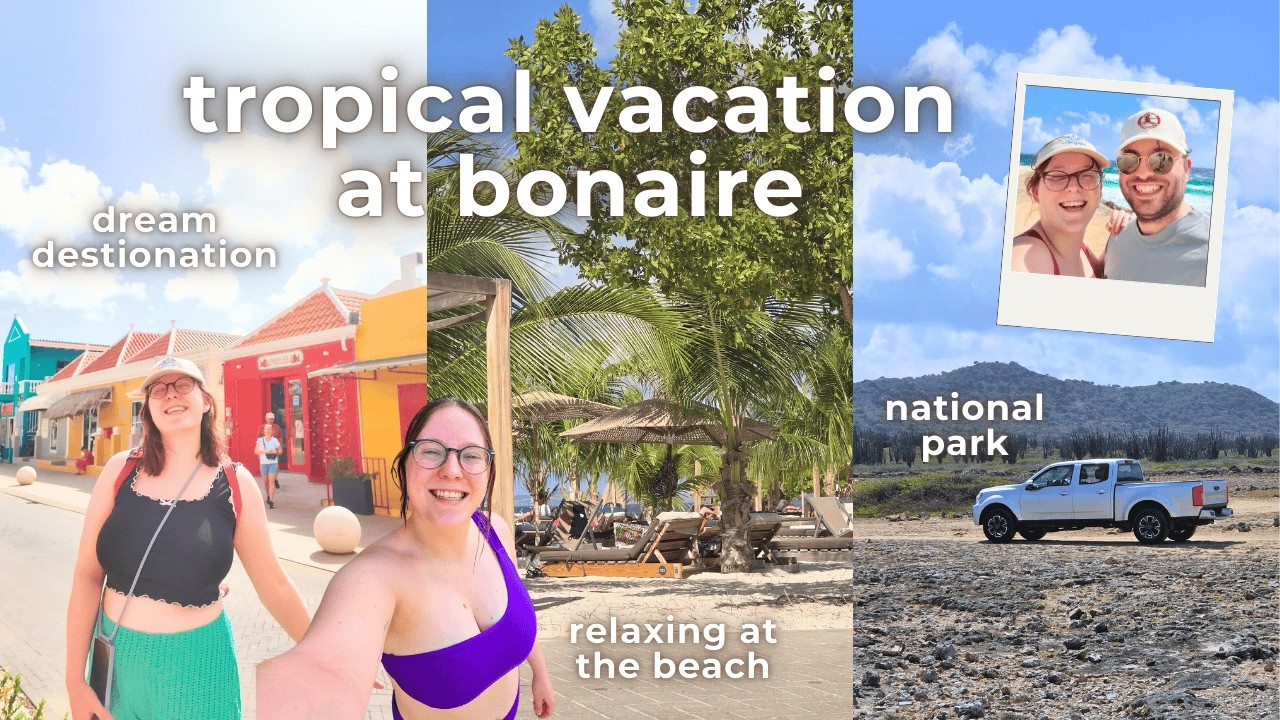 TROPICAL VACATION at Bonaire: relaxing at the beach + roadtripping through the national park ☀️🌴🦩📖🚗