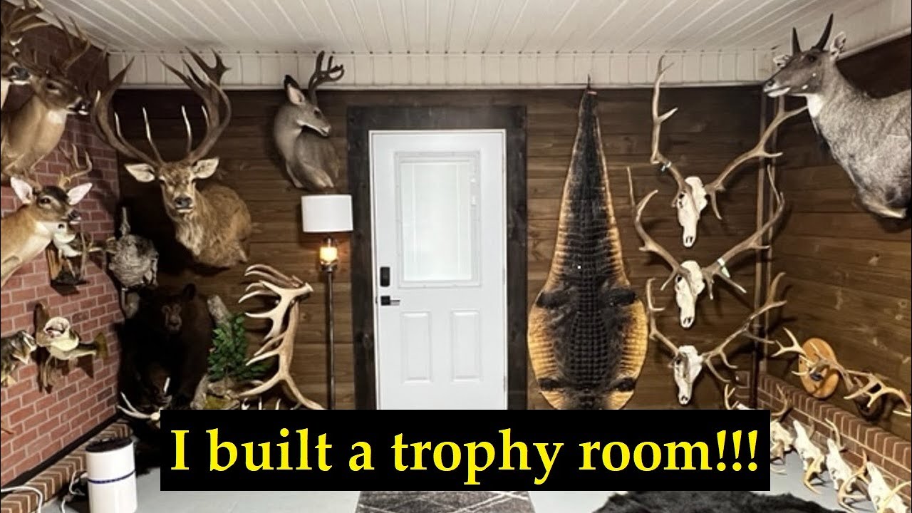 I Built a Trophy Room!!!