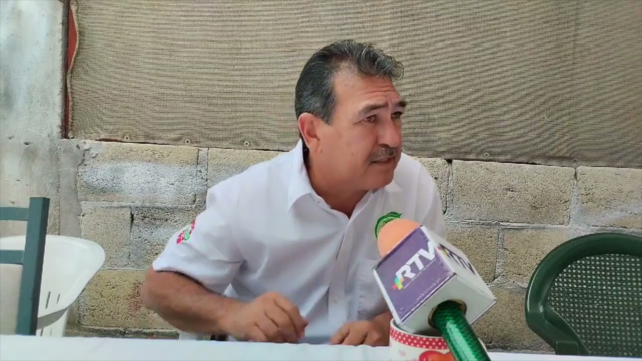 Repunta precio del lim&oacute;n persa y beneficia a productores