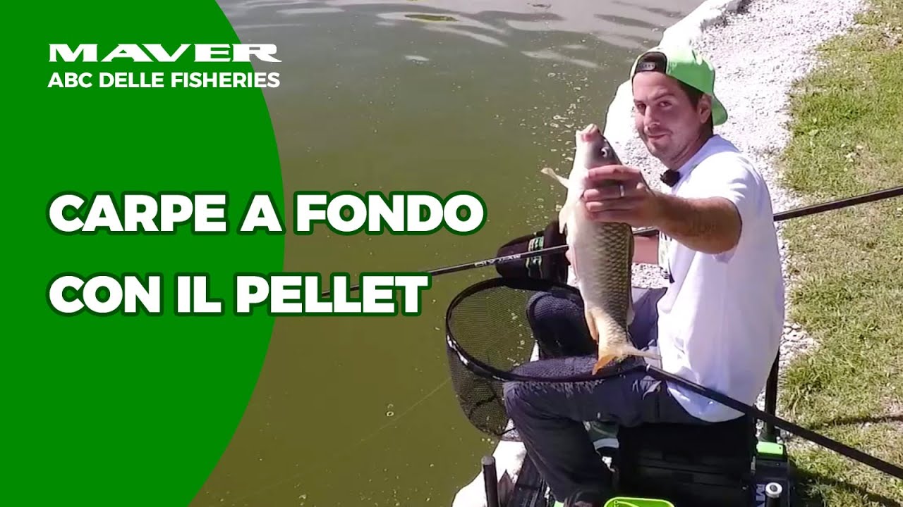 𝐀𝐁𝐂 𝐝𝐞𝐥𝐥𝐞 𝐅𝐢𝐬𝐡𝐞𝐫𝐢𝐞𝐬 : Carpe a fondo con il PELLET