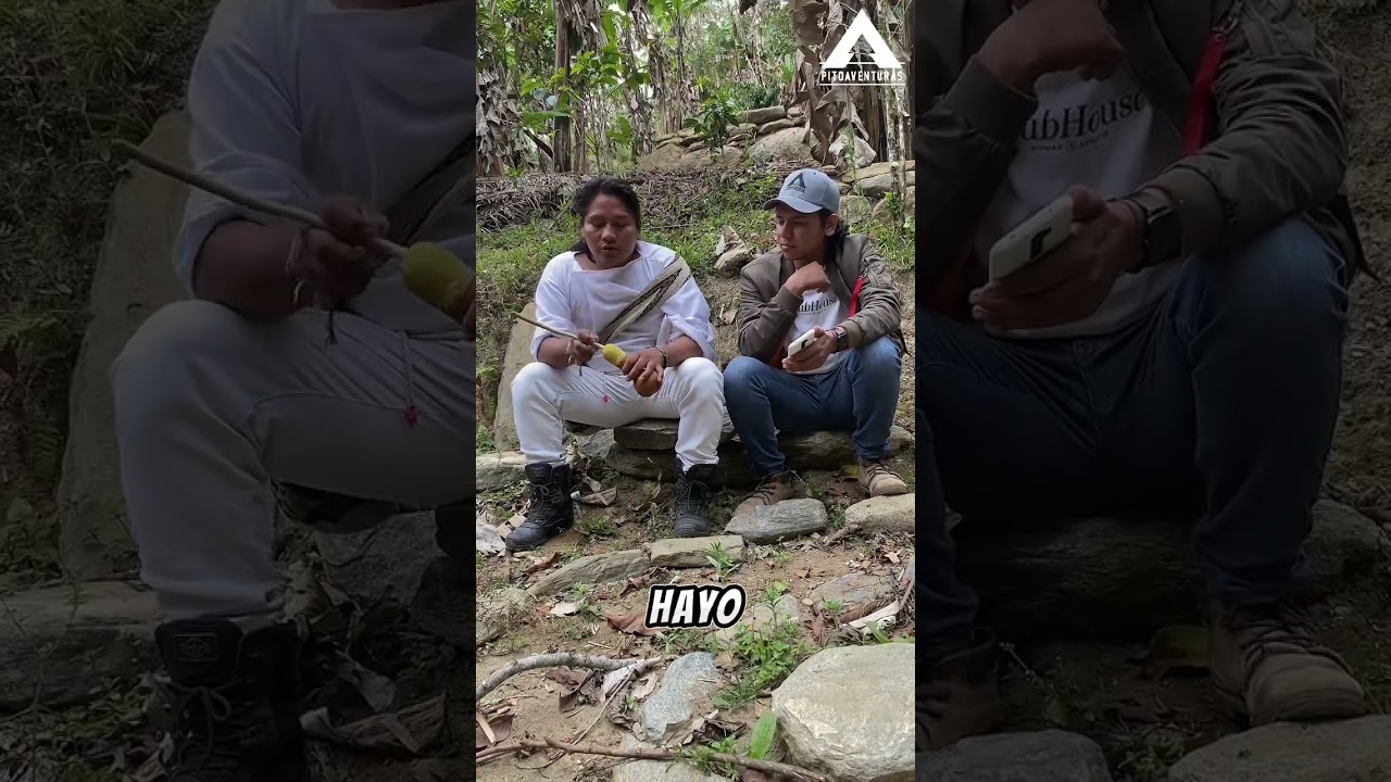 Cap&iacute;tulo 40 - explicaci&oacute;n del poporo con Pablo pinto, Wiwa de la sierra nevada de santa Marta