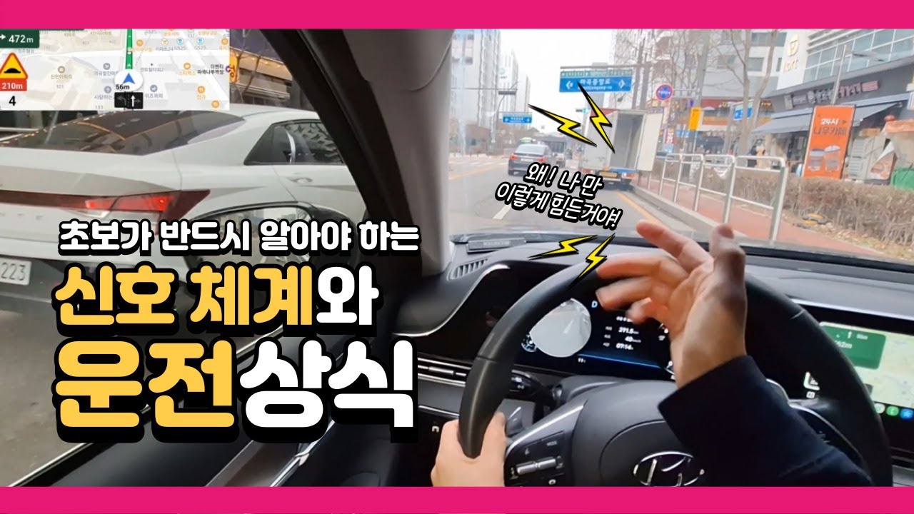 초보운전자 꼭 알아야 하는 신호체계와 운전상식 #초보운전 #장롱면허 #도로주행