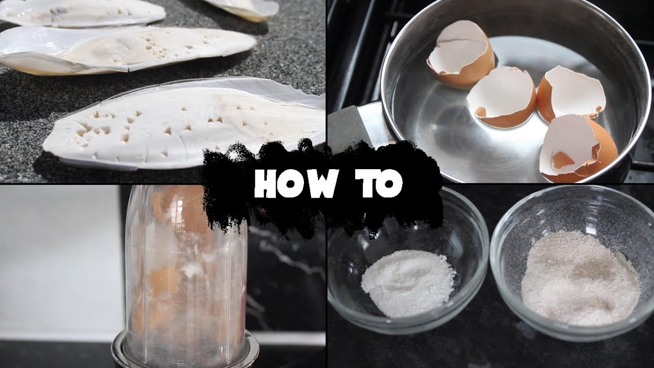 Make Your Own Calcium Powder!