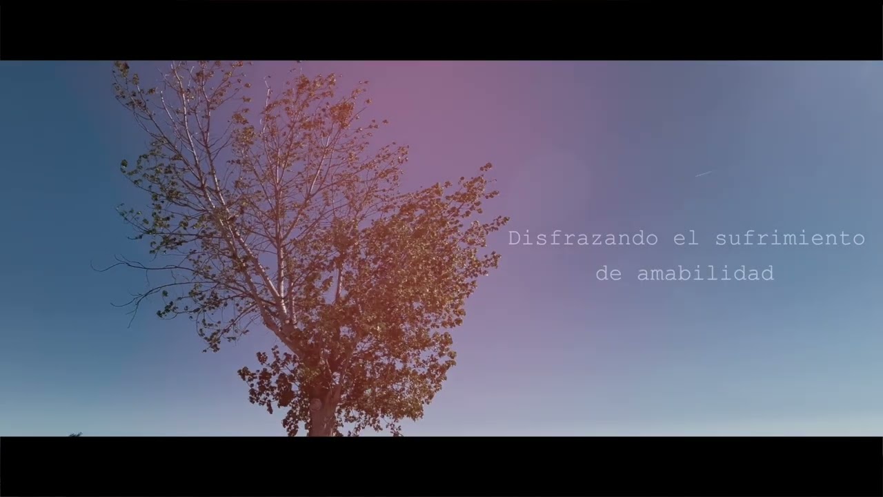 Nunca salí solo