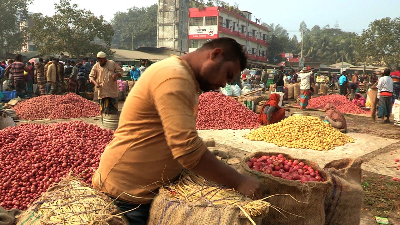 বগুড়ার মহাস্থানের বিখ্যাত সবজি বাজার ।। The Largest Vegetable Market in Bogura ।। Bangladesh
