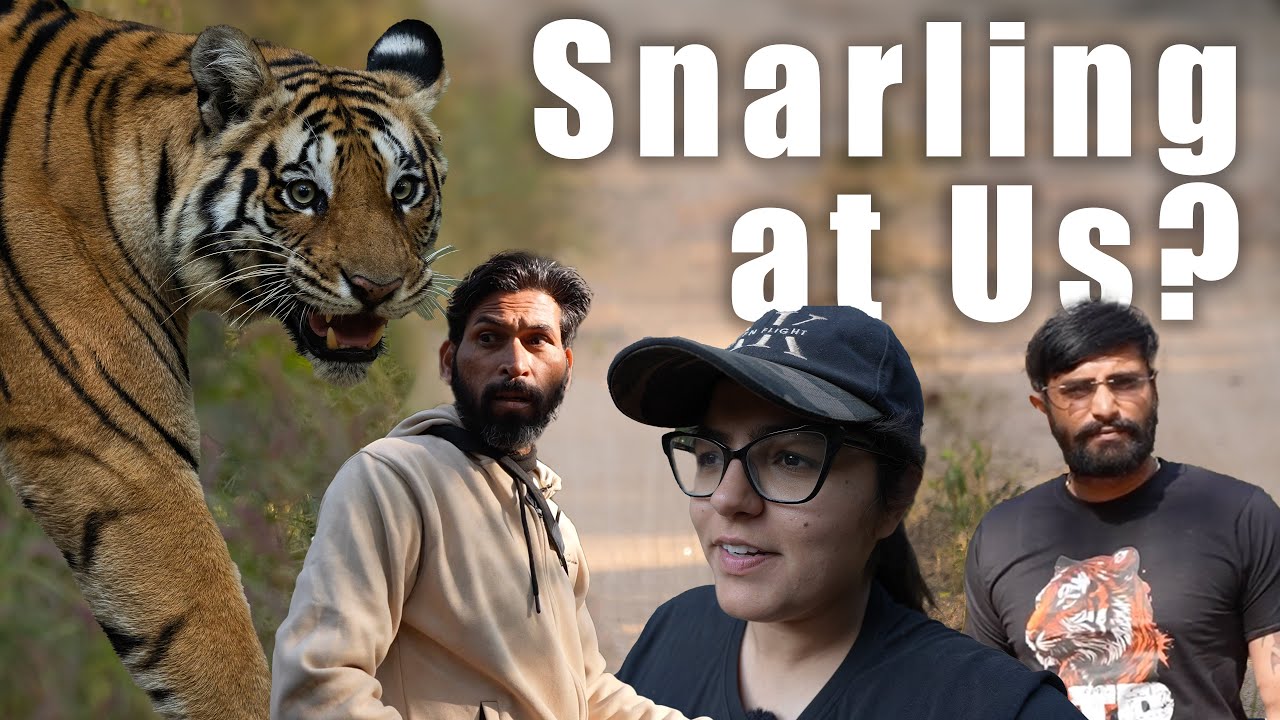Did the Shy Tigress of Pench snarl at us? | ATR DAILY VLOG - 45