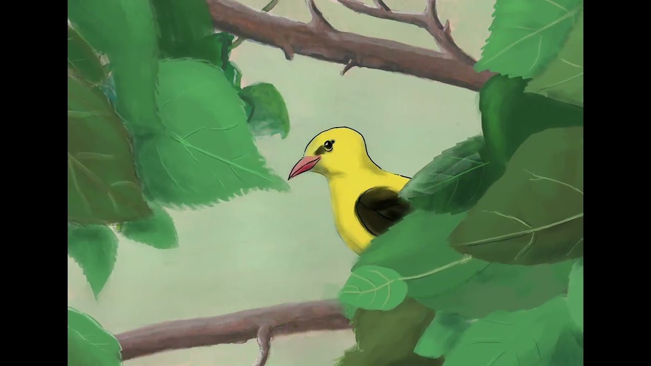 Vijverhof bird animation
