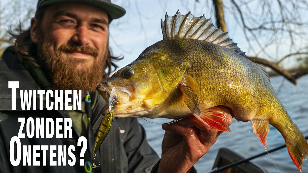 Shallow Water Twitchbait Action for Perch and Zander