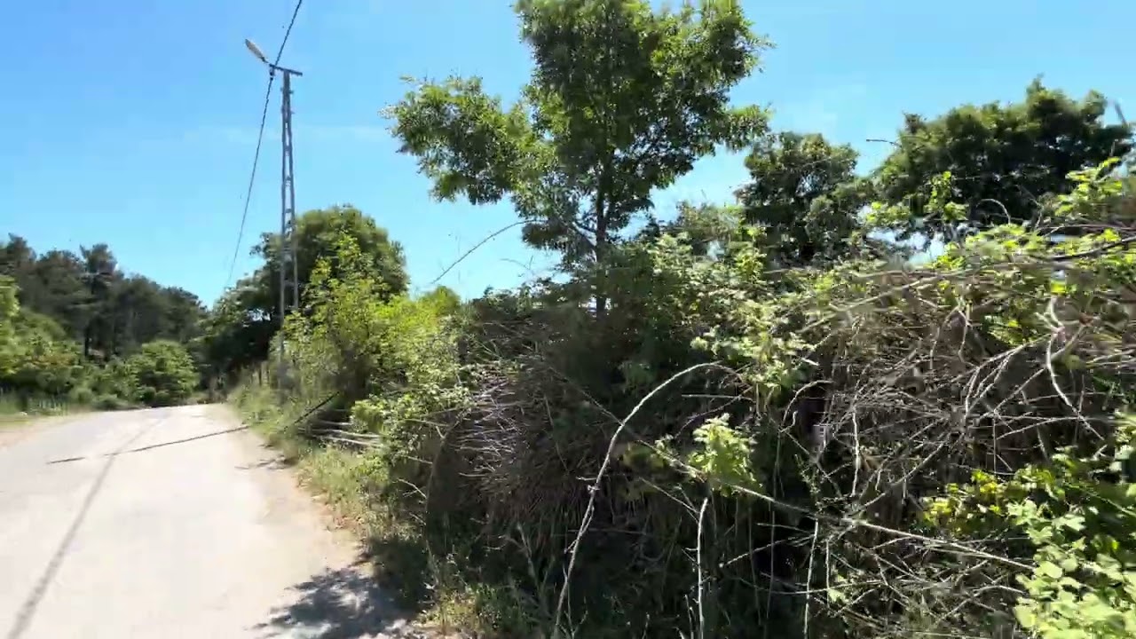 Kaz Dağları’nda￼ köyün girişindeki ilk evin kenarı üç dönüm satılık￼ elektrik suyu olan arsa