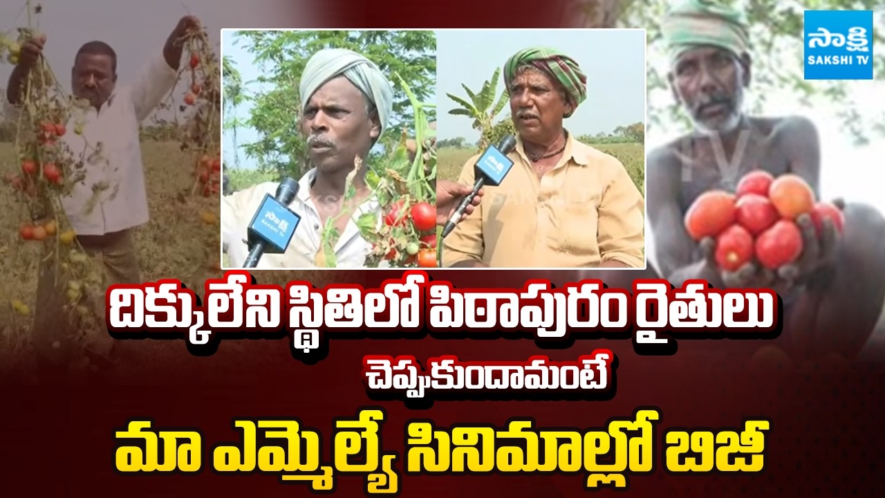 Tomato Farmers Emotional Story in Pithapuram | Pawan Kalyan Fails | Sakshi TV