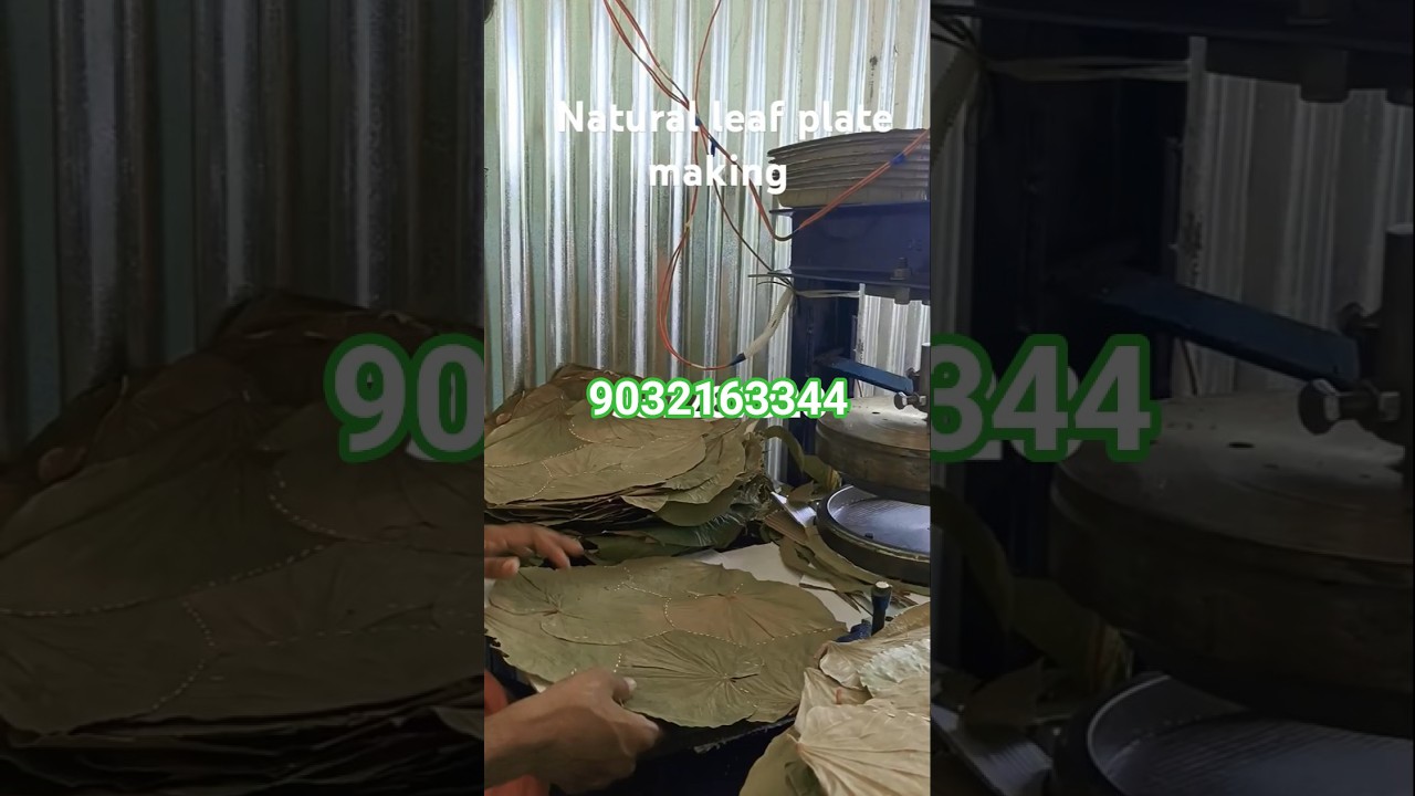 9032163344 Leaf plate making process