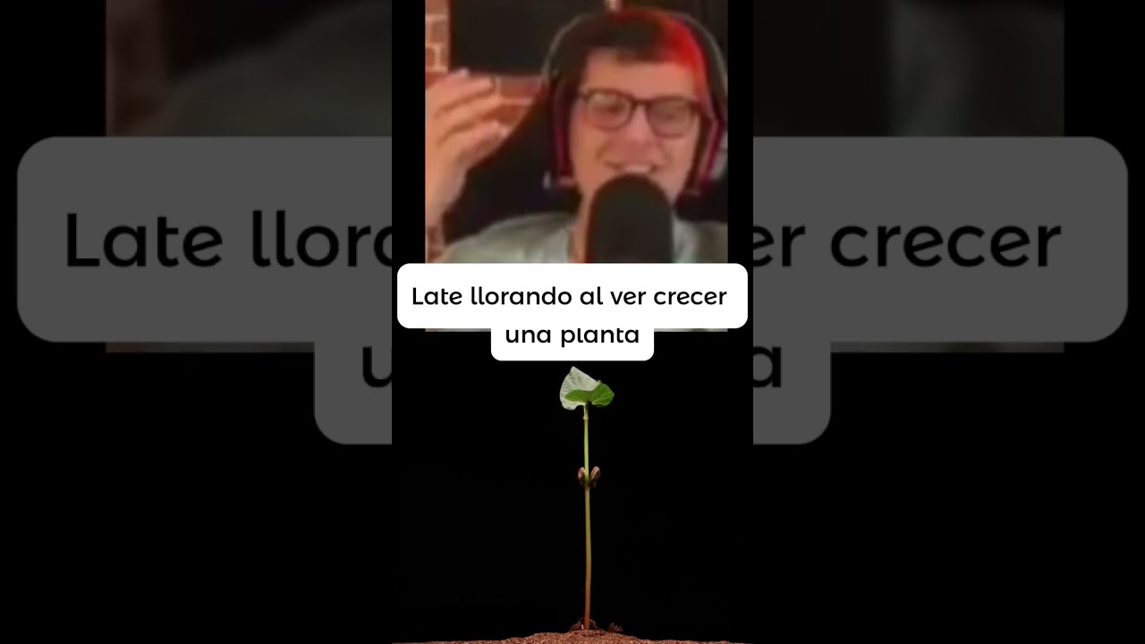Late llorando al ver crecer una planta #twitch #lateclips #clips #latesitoox