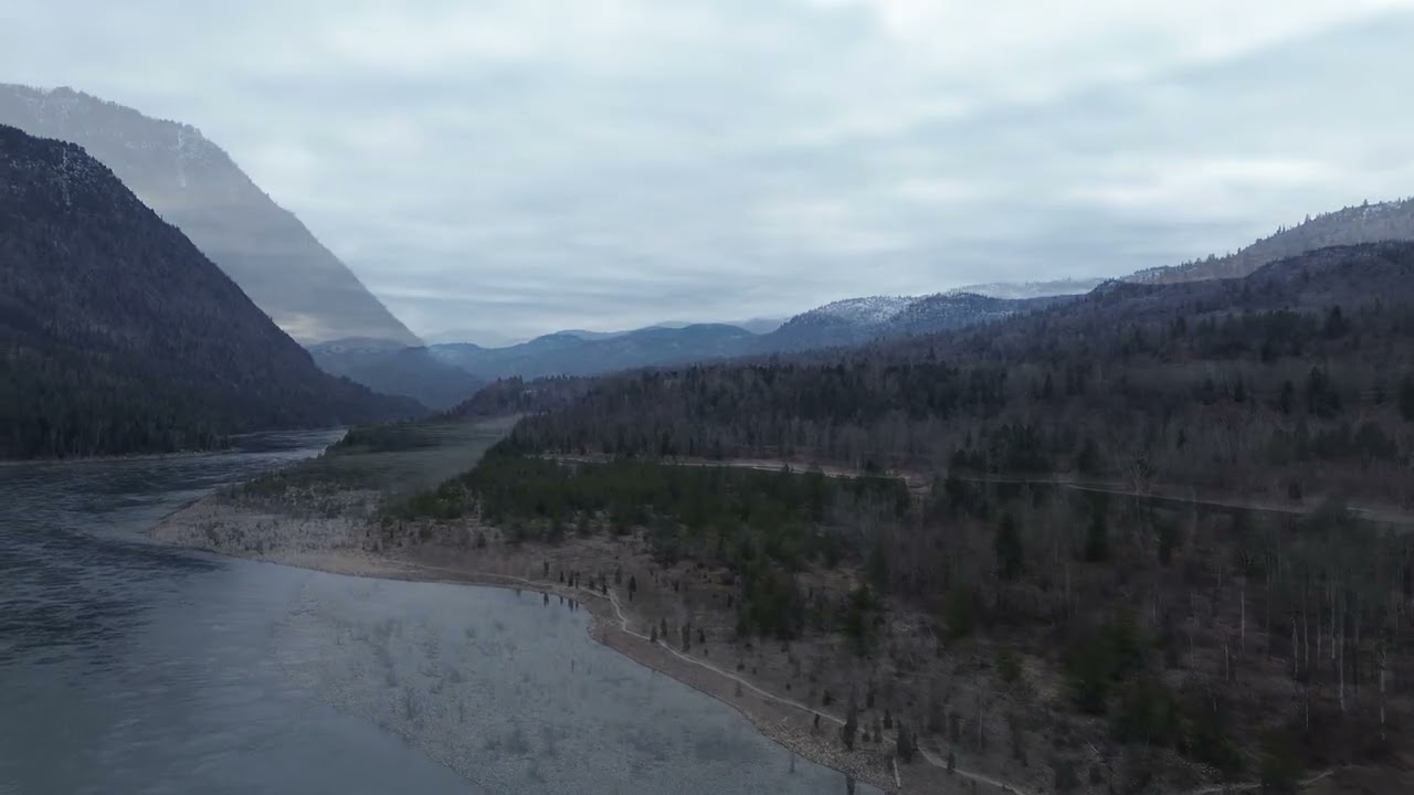January 25,2026 Birchbank along the Columbia River