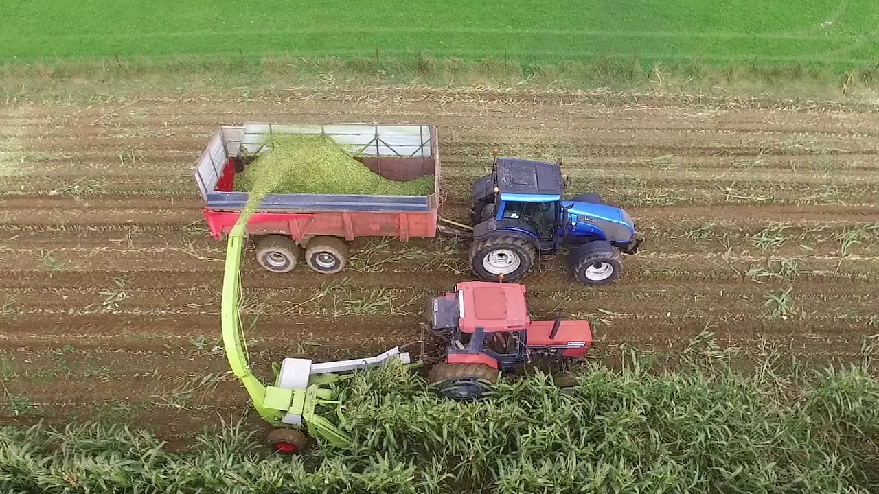 ENSILEUSE 2 RANGS CLAAS JAGUAR 61 DERRIERE LE CASE IH 1056 XL 2RM - VALTRA T121 HT ET BRIMONT 15T
