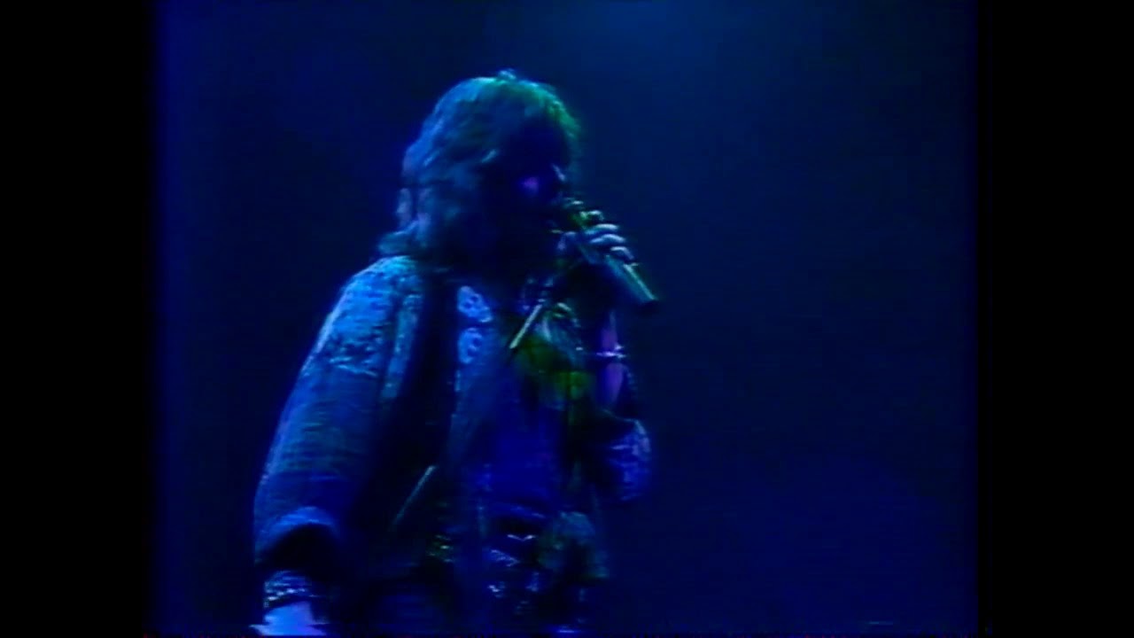 Deep Purple - Live in Budapest 1991 Pro-Shot - King of Dreams