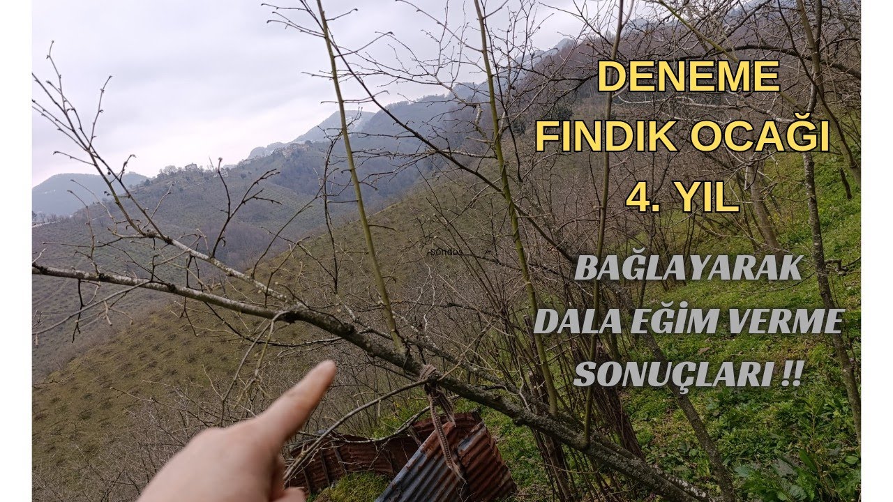 Deneme FINDIK OCAĞI 4. Yıl. Gelisim Ne Durumda?