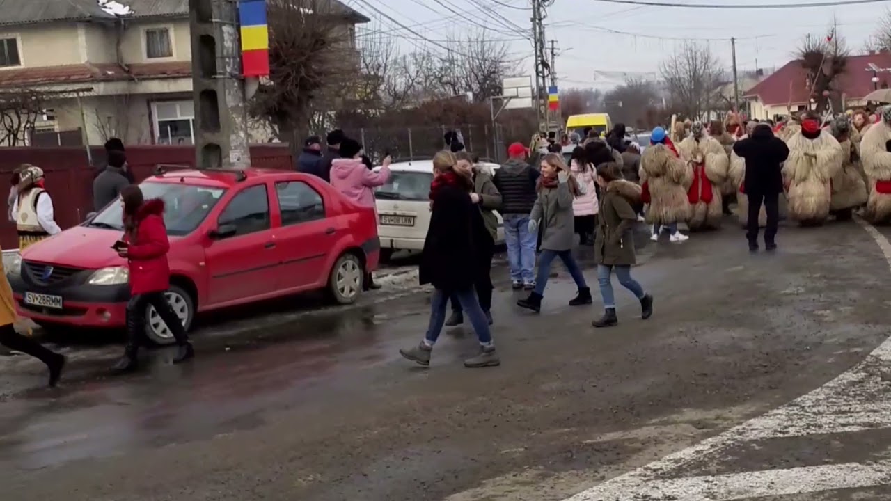 Urșii din Rotunda 01.02.2020