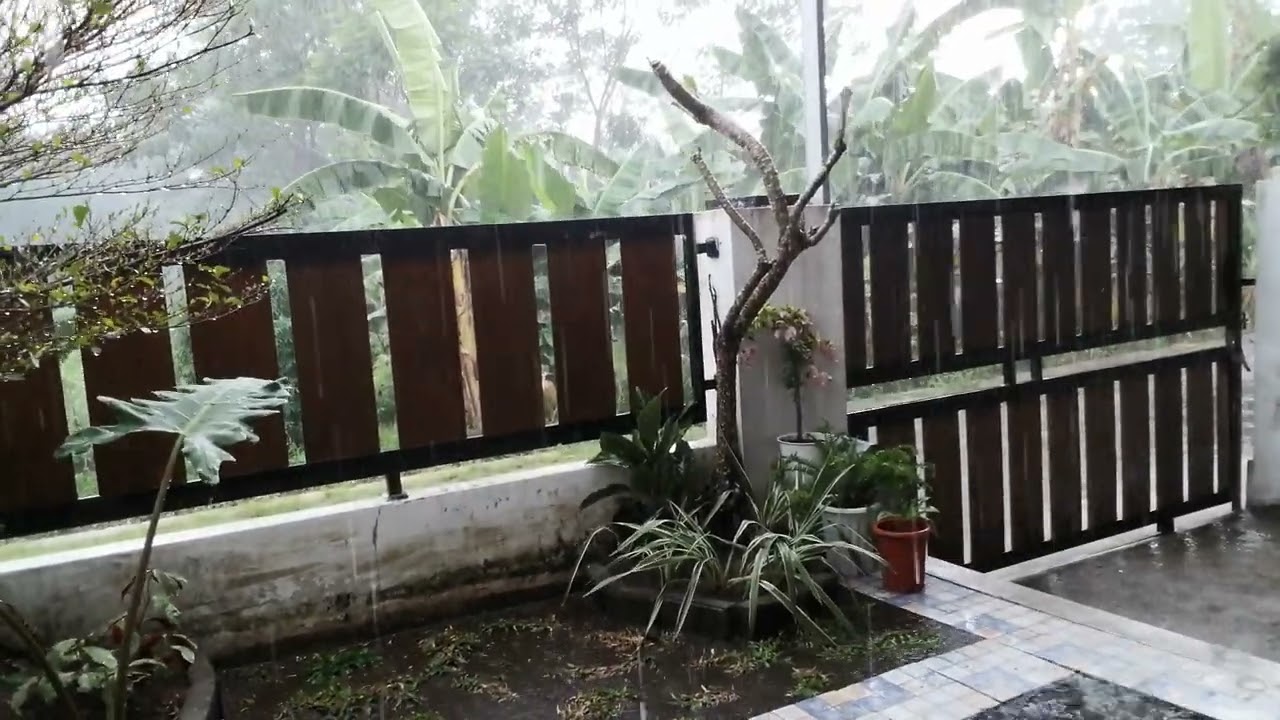 Relaxing video #2