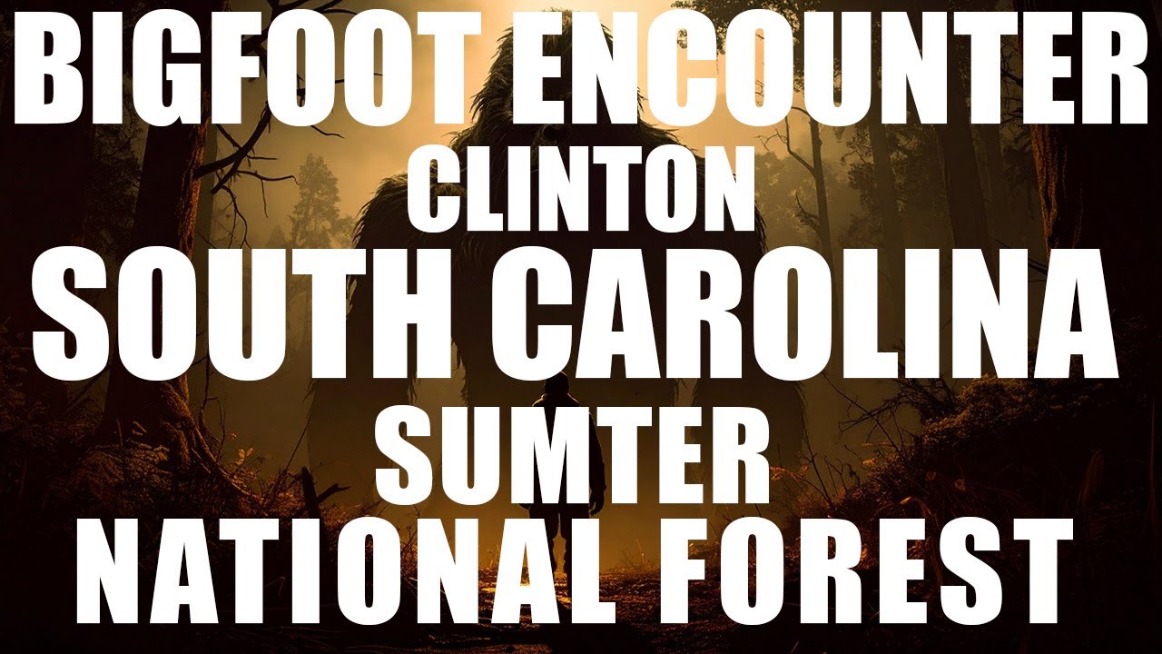Sasquatch Fight in the Forest &ndash; Encounter in (Clinton) South Carolina | Sumter National Forest