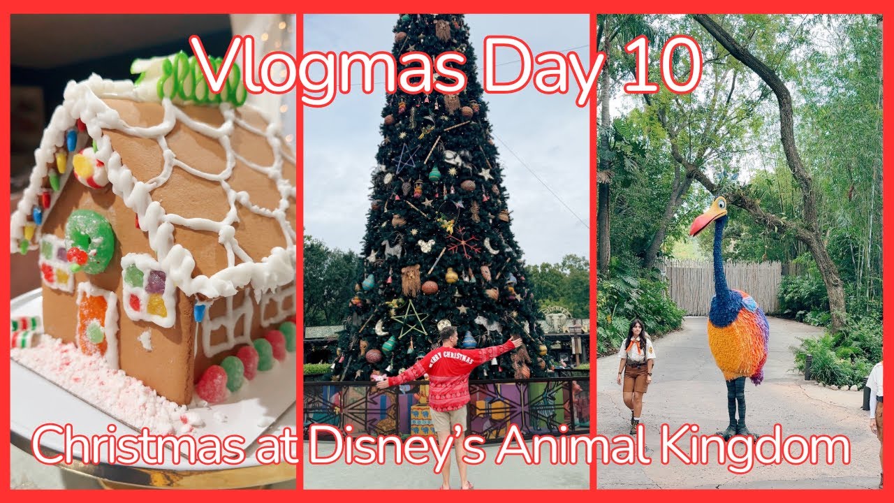 Vlogmas Day 10 🎄🎅🏼 Christmas at Disney's Animal Kingdom & Decorating a Gingerbread House