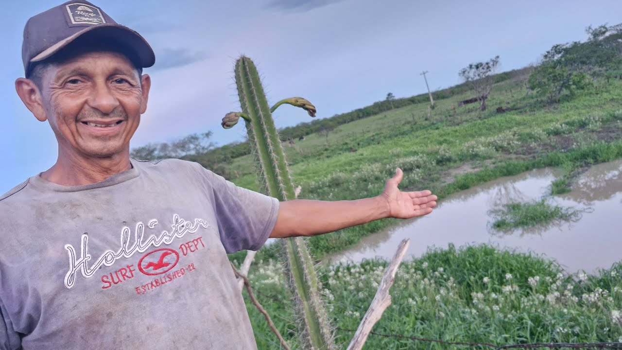 Veja a grama e estrela.