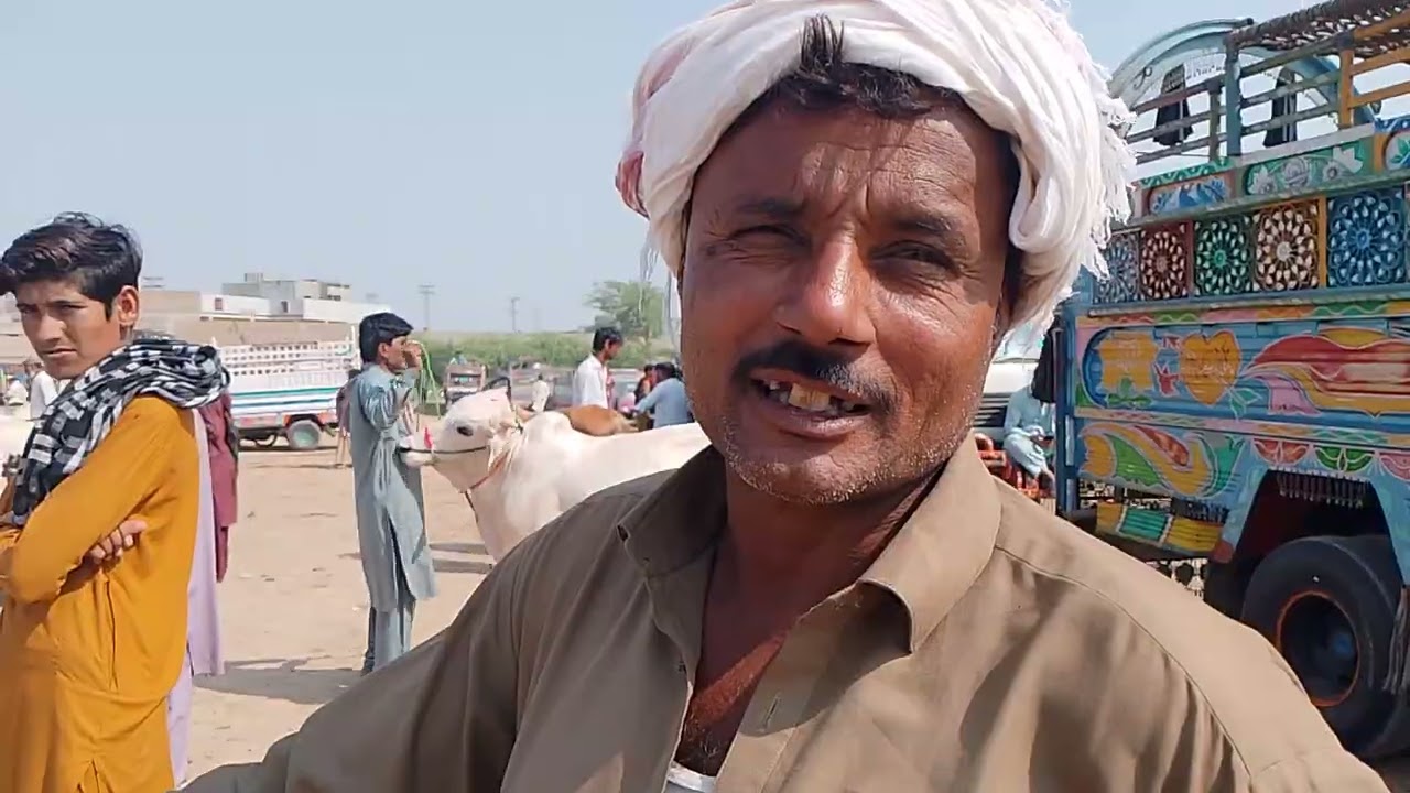 28/2/2026 nawabshah ki taza tareen maveshi mundi updates sasti rate 
