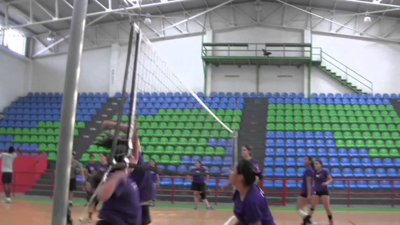 Panteras Voleibol