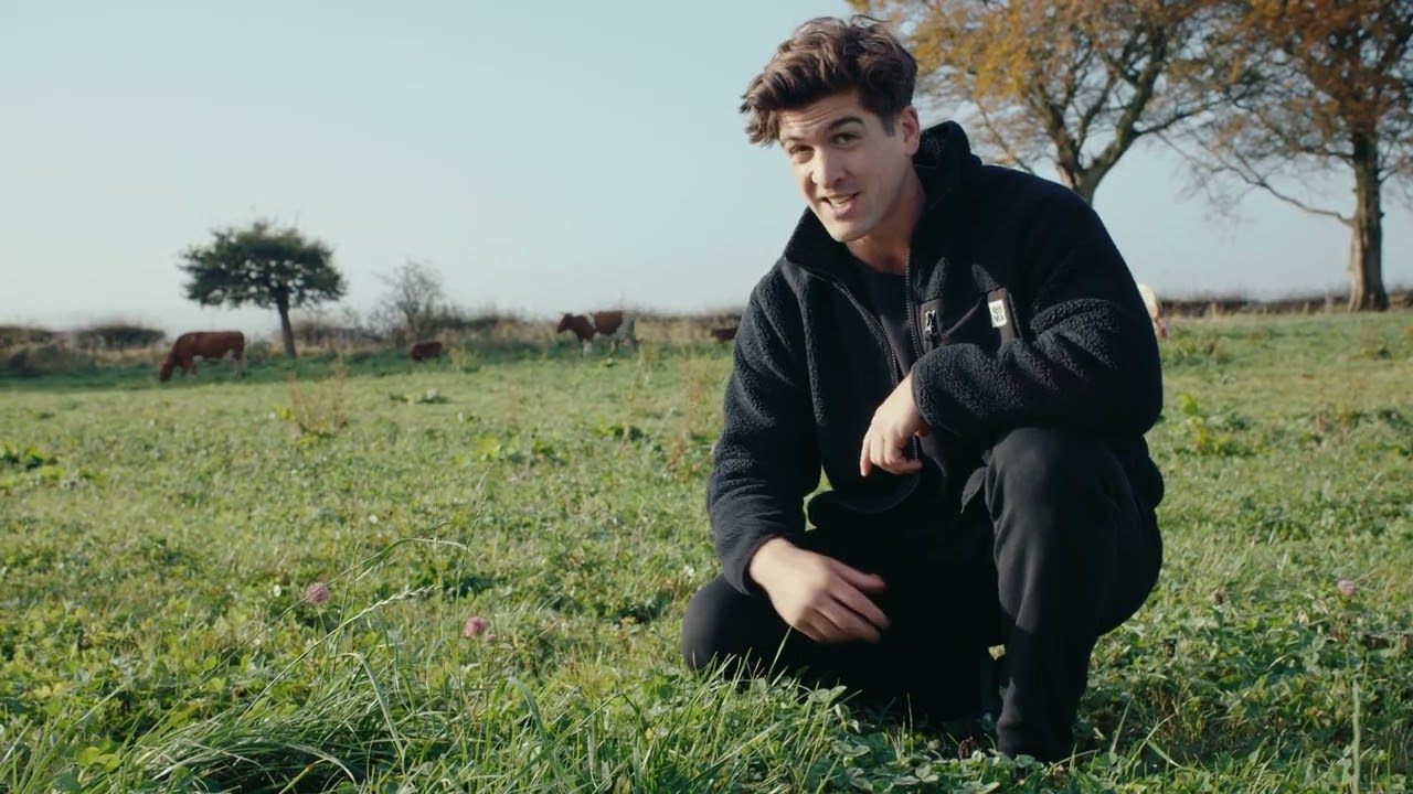 Moo-cation, Moo-cation, Moo-cation