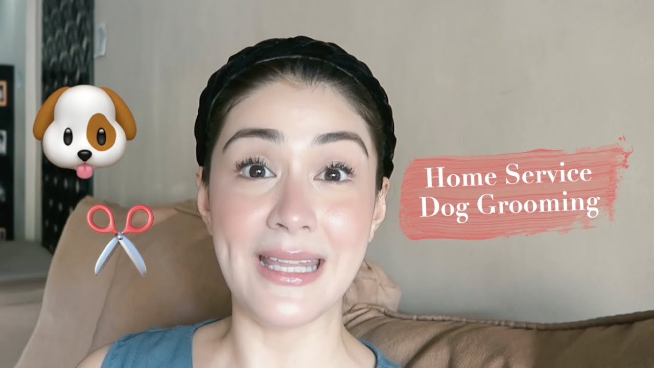 Home Service Grooming for Bubbly