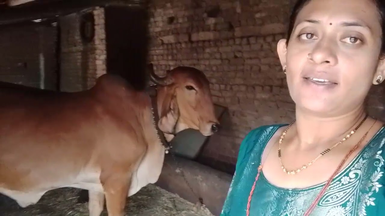 Happy bhadarvi pacam🙏🙏🙏🙏#dailyvlog #desiviilagelifetstyle #trending 