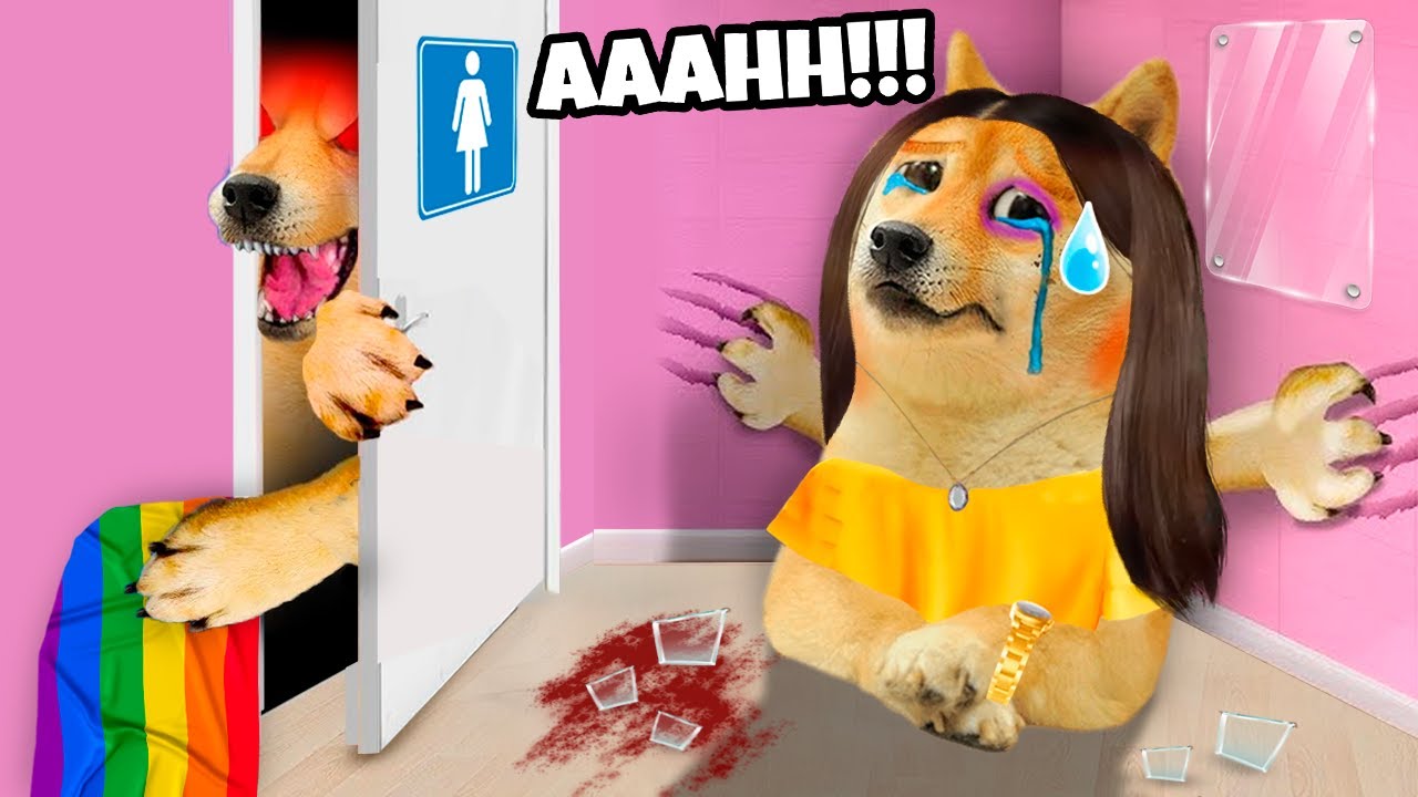 Un TRANS me QUISO MAT4R por NO dejarlo PASAR al BAÑO de MUJERES 🚽😭🩸👩  - abro hilo |hilos con cheems|