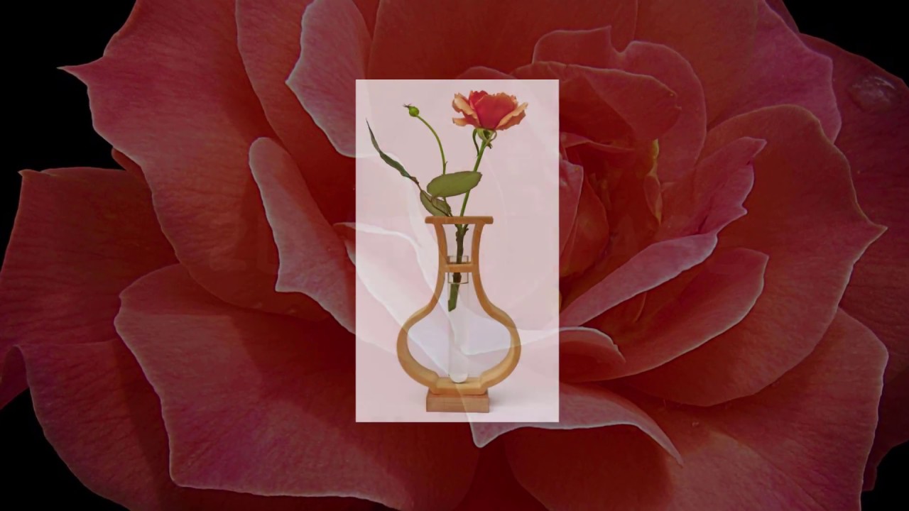 2D BUD VASE