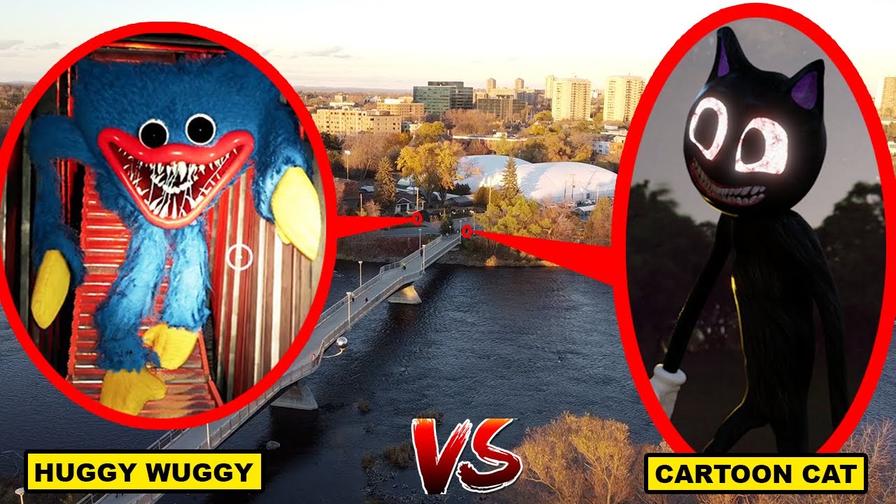 DRONE CATCHES HUGGY WUGGY VS CARTOON CAT FIGHTING! | HUGGY WUGGY CAUGHT VS CARTOON CAT FIGHT CAUGHT!