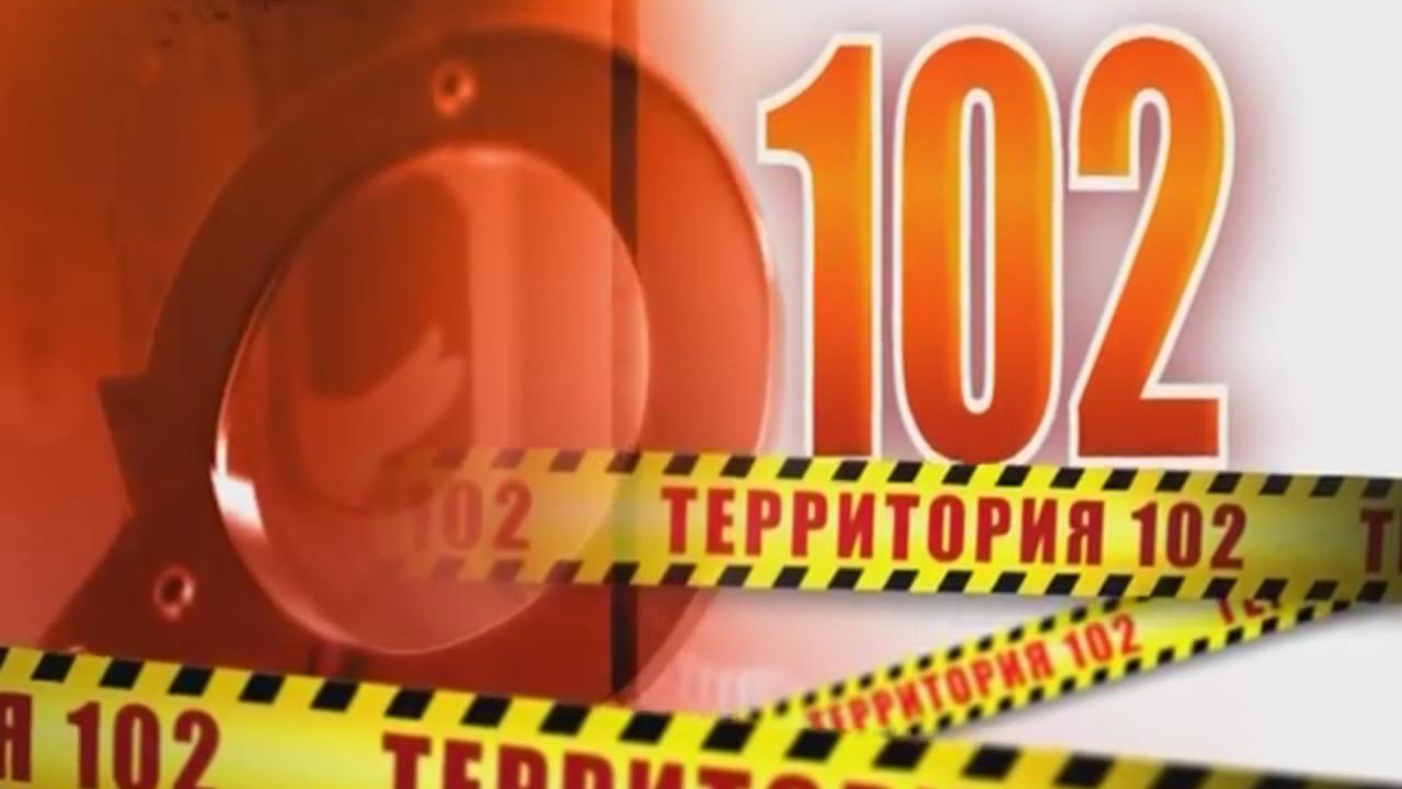 Территория 102 (05.02.2017)