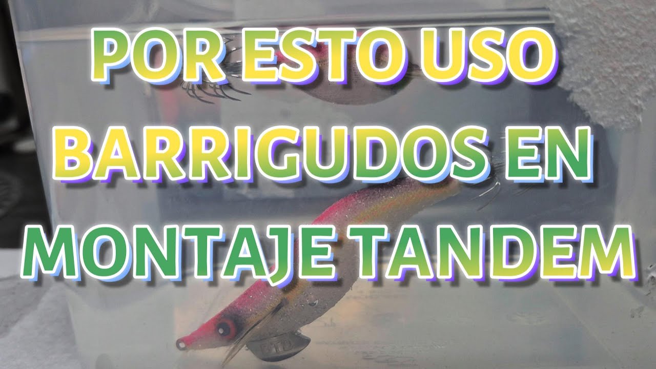 MONTAJE TANDEM MI  OPINION DE POR QUE USO BARRIGUDOS EN VEZ DE EGI TIPO GAMBA.