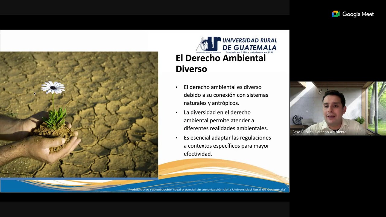 SEMANA 3