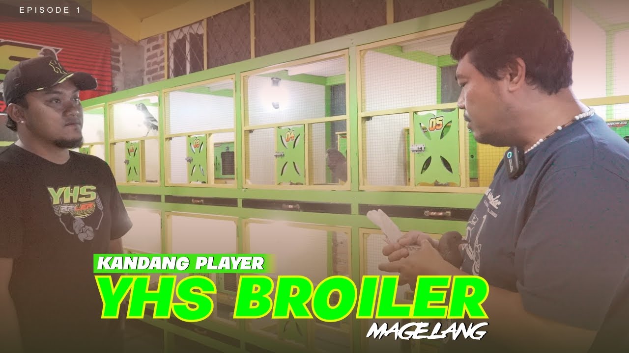 EPS 1 | KANDANG PLAYER TEAM YHS BROILER MAGELANG | ISINYA MEWAH MEWAH SEMUA 😮