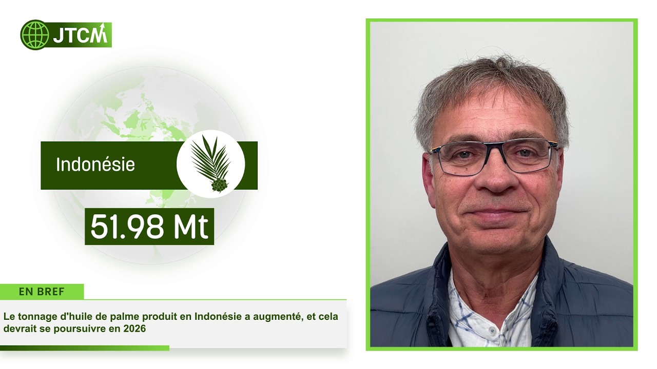 JTCM - Forte progression des emblavements de colza ! - 23/02/2026