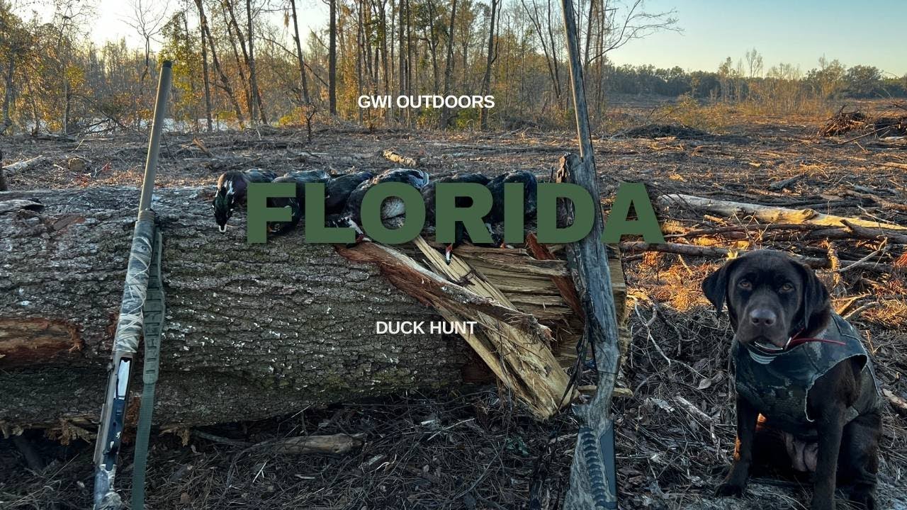 North Florida Duck Hunt (Limited Out)