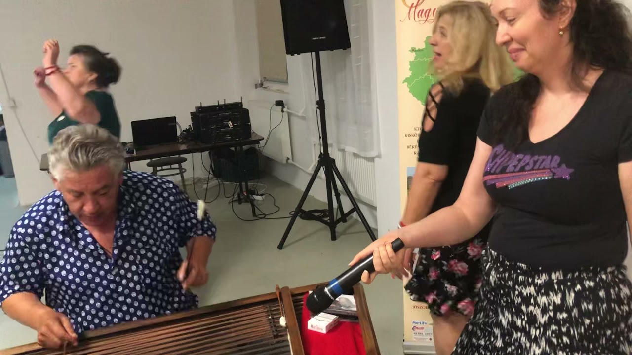 Alkotótábor | Első este | Radics Sándor cimbalomművész játéka