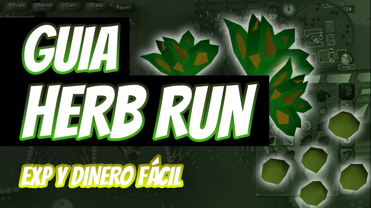 HERBS RUN - 220K en 10 minutos 😱😱 ( Exp + Money Making 😋 )