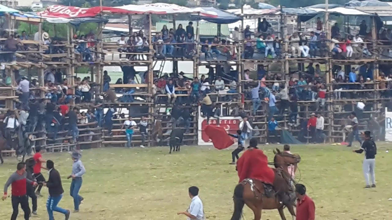 Toros de sangolqui  2018