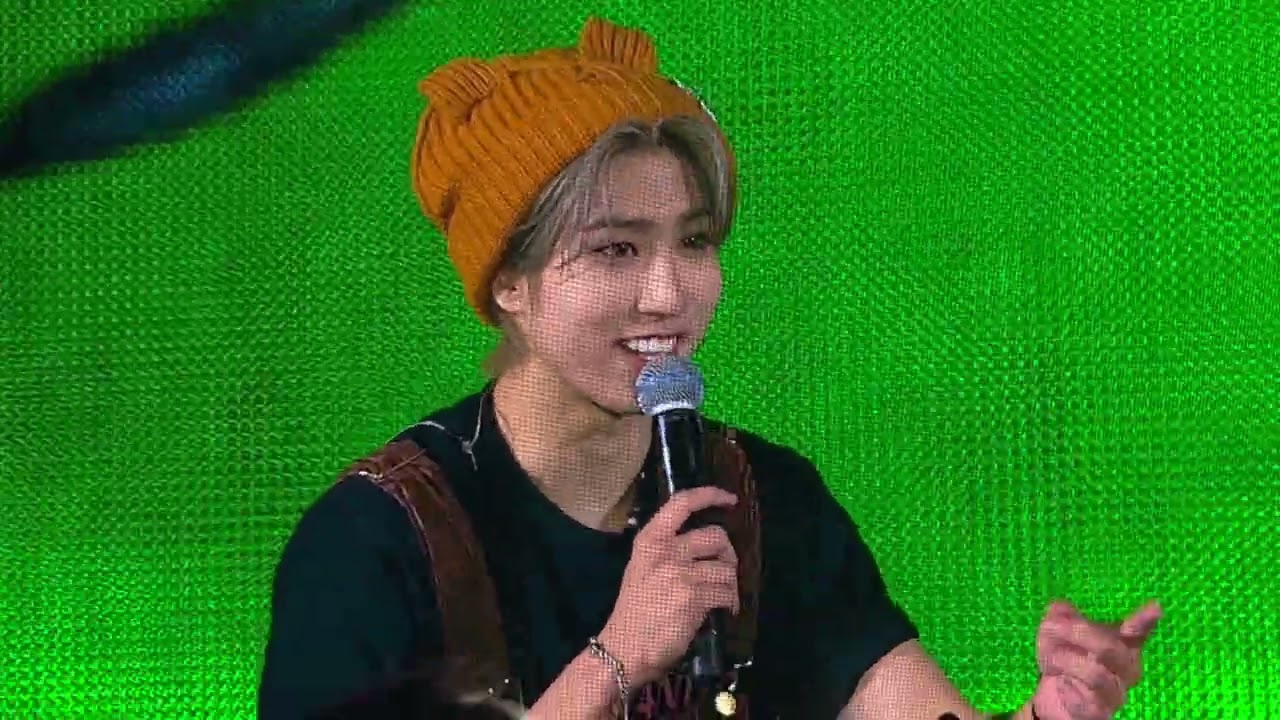 Stray Kids in LA D2 - Fan Project/Ending Ments