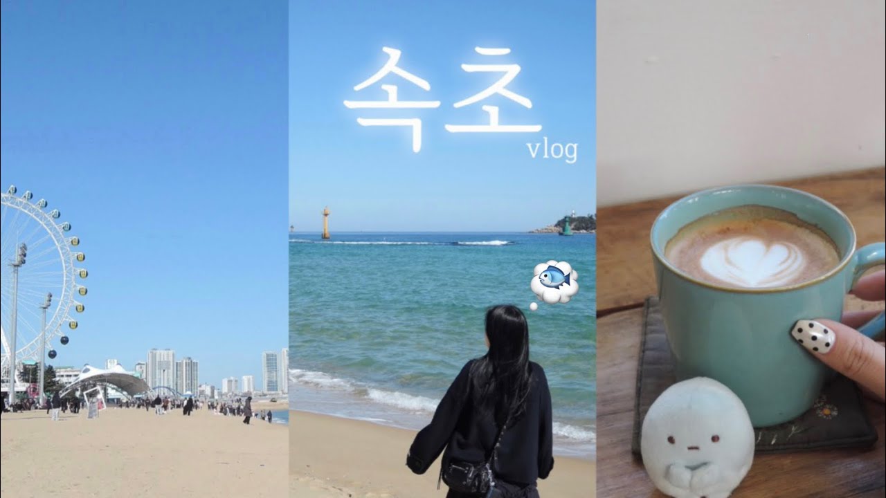 [VLOG] 당일치기 속초여행을 다녀오다🐳 | 속초 카페, 소품샵, 맛집 | 여행 브이로그
