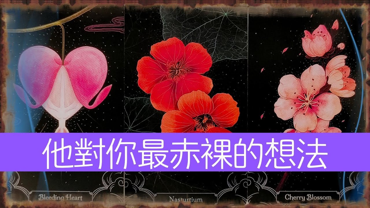 他對你最赤裸的想法！絶對不敢跟你説的事  |曖昧|愛情|戀愛|桃花|塔羅占卜|