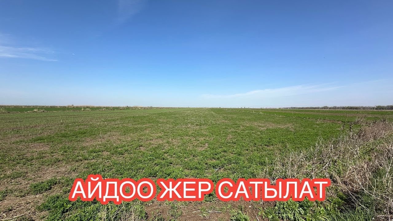 АЙДОО ЖЕР САТЫЛАТ СОКУЛУК 2025
