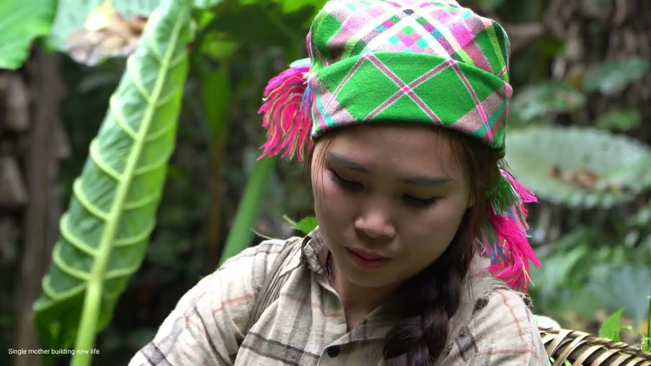 Small family: Harvesting wild vegetables to sell - Cooking with son | Farm life