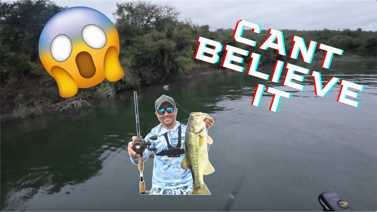 Cant believe this happened - Albert Falls