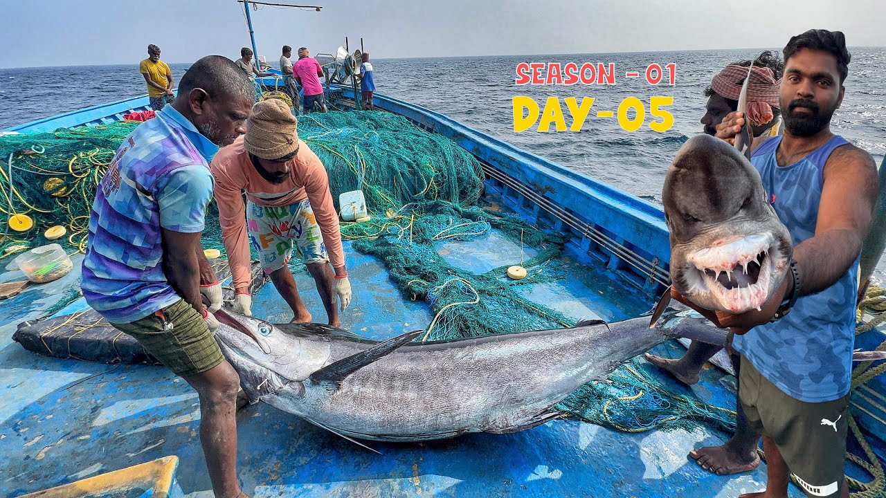 Day-05 | Ton of Tuna Catch 😱 ஆனா Big Manta Ray Release! | Republic Day Special – Jai Hind! 🇮🇳 | EP05